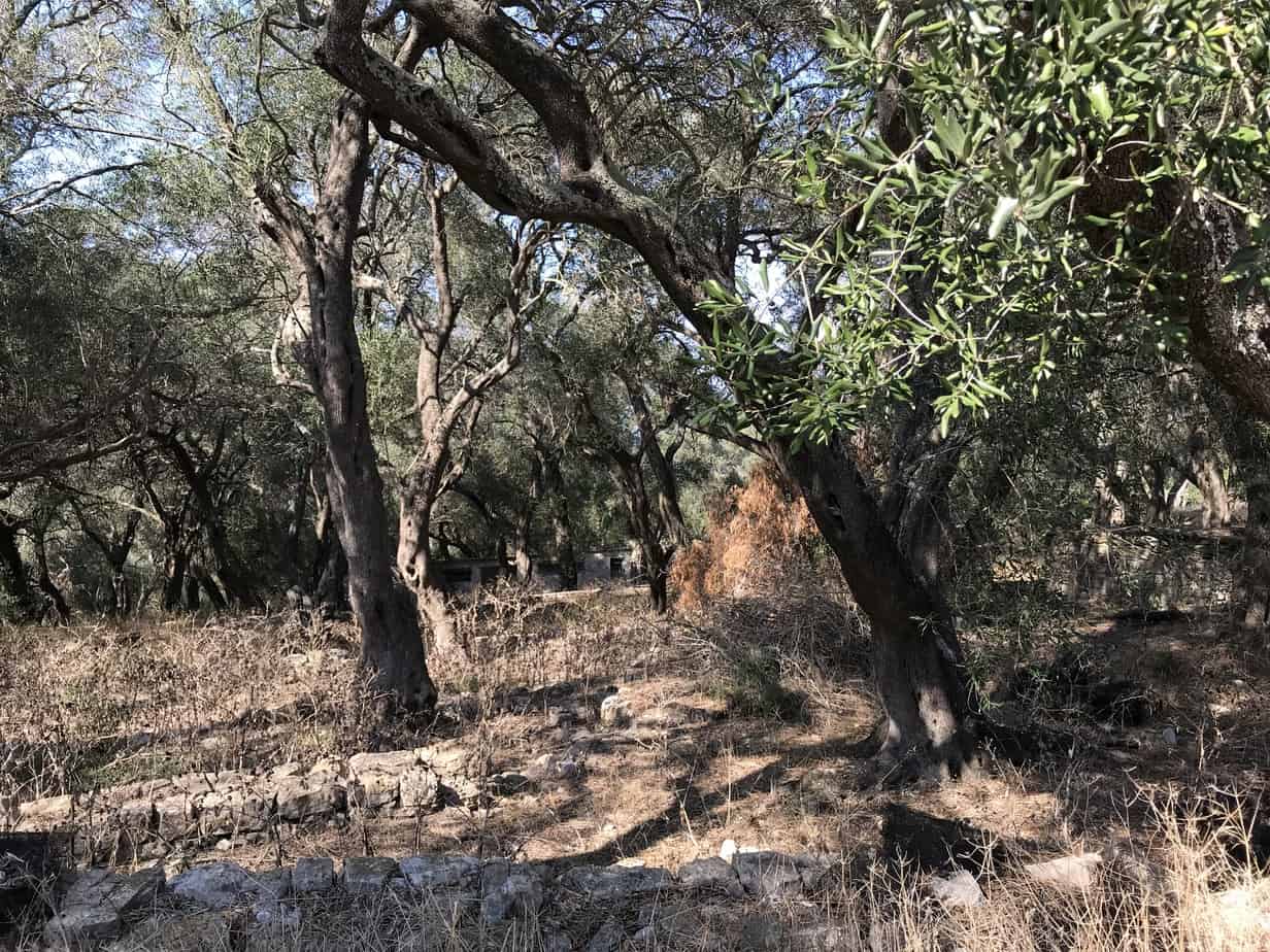 15 Free Things For You To Do In Paxos Greece